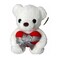 Teddy Bear Plush With Heart