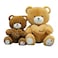 Teddy Bear With Beige And  Brown Heart