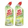 Wc Net Liquid Lime 750MLX2