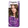 Schwarzkopf Palette Intensive Hair Color Cream With Liquid Keratin 6-0 Dark Blonde 50ML