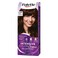 Schwarzkopf Palette Intensive Hair Color Cream With Liquid Keratin 4-60 Lustrous Middle Brown 50ML