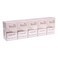 Winston Silver Carton X10