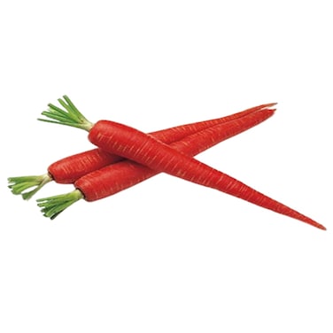 Carrot Red For Salad