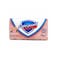 Safeguard Floral Scent Soap 135 gr