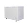 Haier Inverter Deep Freezer BD-385H DD