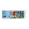 Frozen Fever Pencil Box