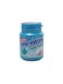 Mentos Gum Peppermint 56 gr