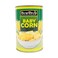 Dewdrop Baby Corn Tin 380 gr