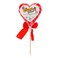 Candy Shop Sweet Heart Lollipop