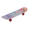 Skate Board Medium