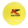 Tennis Ball