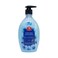 Carrefour Hand Wash Blue Orchid 500 ml