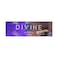 Bisconni Divine Wafer Chocolate Family Pack 166 gr