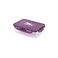 Appollo Cafee Food Keeper Medium