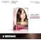 Loreal Excellence Cream 4 Brown