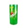 Fizzup Next Can 250 ml