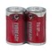 Eveready Cell 1050SW 2Pcs D Size