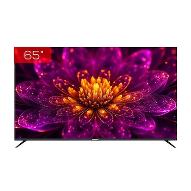 Nobel 65 Inch DF12s
