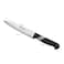 Chef Stainless Steel Kiwi Knife  J2-195 12.5 Cm