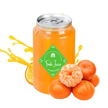 Fresh Fruiter Juice Tin 300ml