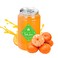 Fresh Fruiter Juice Tin 300ml