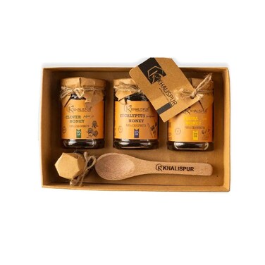 Khalispur Smart Gift Box Raw Honey 570g