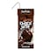 Dayfresh Chocolate Flavored Milk 180ml