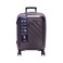Alpini Trolley Case Grey 20Inches