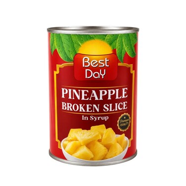 Best Day Pineapple Broken Slice 520g