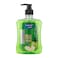 Summer Fruit Hand Wash Apple 500ml