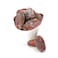 Dates Majdoul Medium