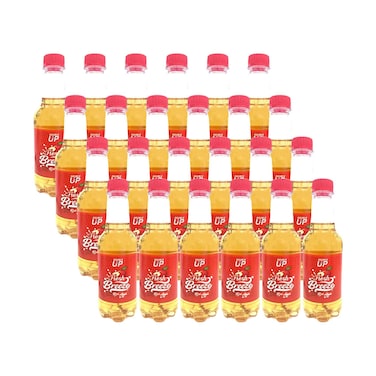 Double Up Fresh Breeze Red Apple 350mlx24pieces