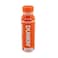 Dunkin Premium Iced Coffee Original 300ml