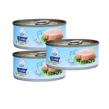 Oceana Tuna Chunks In Water 160gx3 Pieces