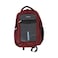 Sport Back Pack Assorted