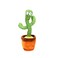 Dancing Cactus Flowerpot