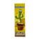 Dancing Cactus Flowerpot