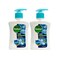 Dettol Cool Liquid Handwash Pump Mint &amp; Bergamot Scent 200mlx2 pieces
