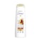 Dove Argan Oil Moisture Shampoo For Dry Hair 400ml
