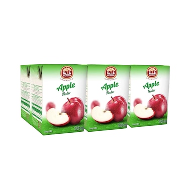 بلدنا عصير نكتار التفاح 125 مل × 6 قطع