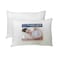 Planet Home Luxury Satin Pillow 300 TC 1 Piece