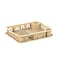 Cosmoplast Plastic Dish Drainer Large With Tray 50xW40xH10cm