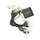 Solar Led String Lights