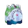 San Pellegrino Carbonated Natural Mineral Water Pet 1Lx6 Pieces