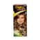 Bigen Speedy Conditioning Color 60 Dark Blonde 40g