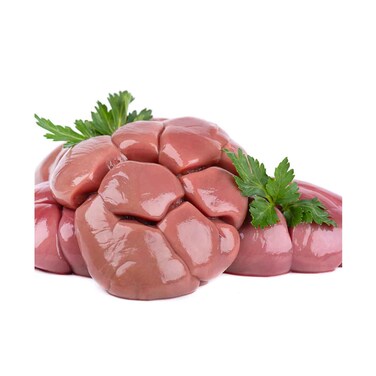 كازاخستان تستورد كلى الضأن