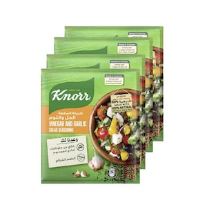 Knorr Vinegar & Garlic Salad Seasoning 10gx4 Pieces