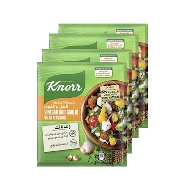 Knorr Vinegar &amp; Garlic Salad Seasoning 10gx4 Pieces