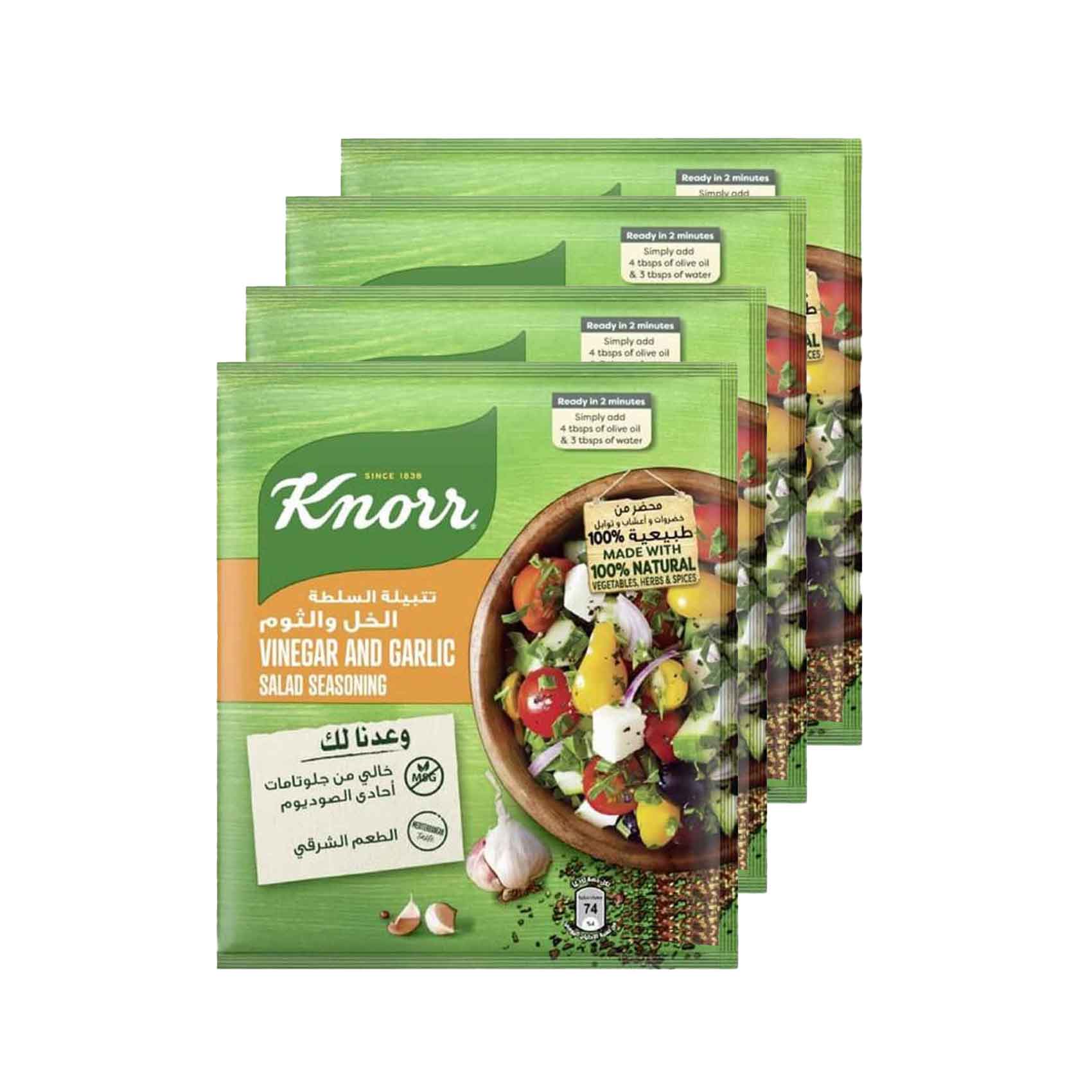 Knorr Vinegar & Garlic Salad Seasoning 10gx4 Pieces