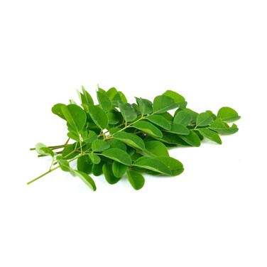 Sri Lanka Moringa Leaves